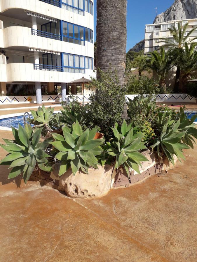 Appartement Equipe Calpe Espagne, 4 Couchages, Terrasse, Piscines, Climatisation, Garage, Wifi Gratuits Экстерьер фото